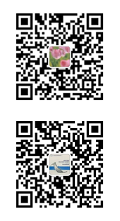 the qr code